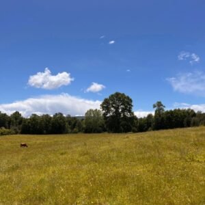 Villa las Vertientes de Villarrica